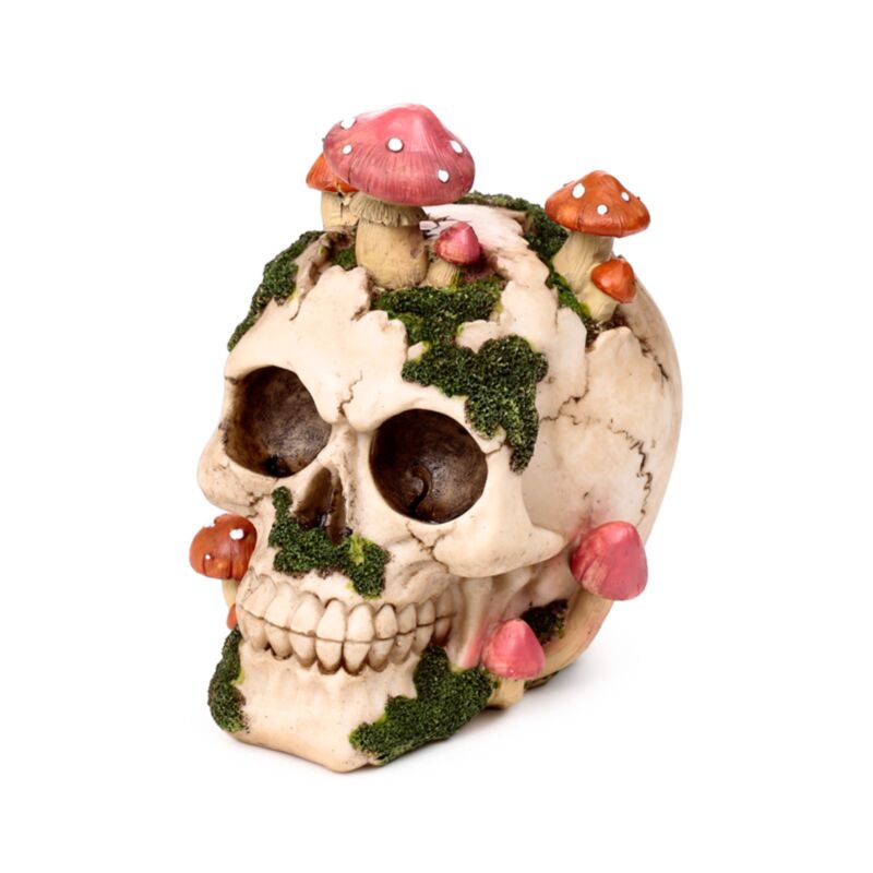 Skull With Mushrooms And Moss - Figurine - The Dark Rose Emporium