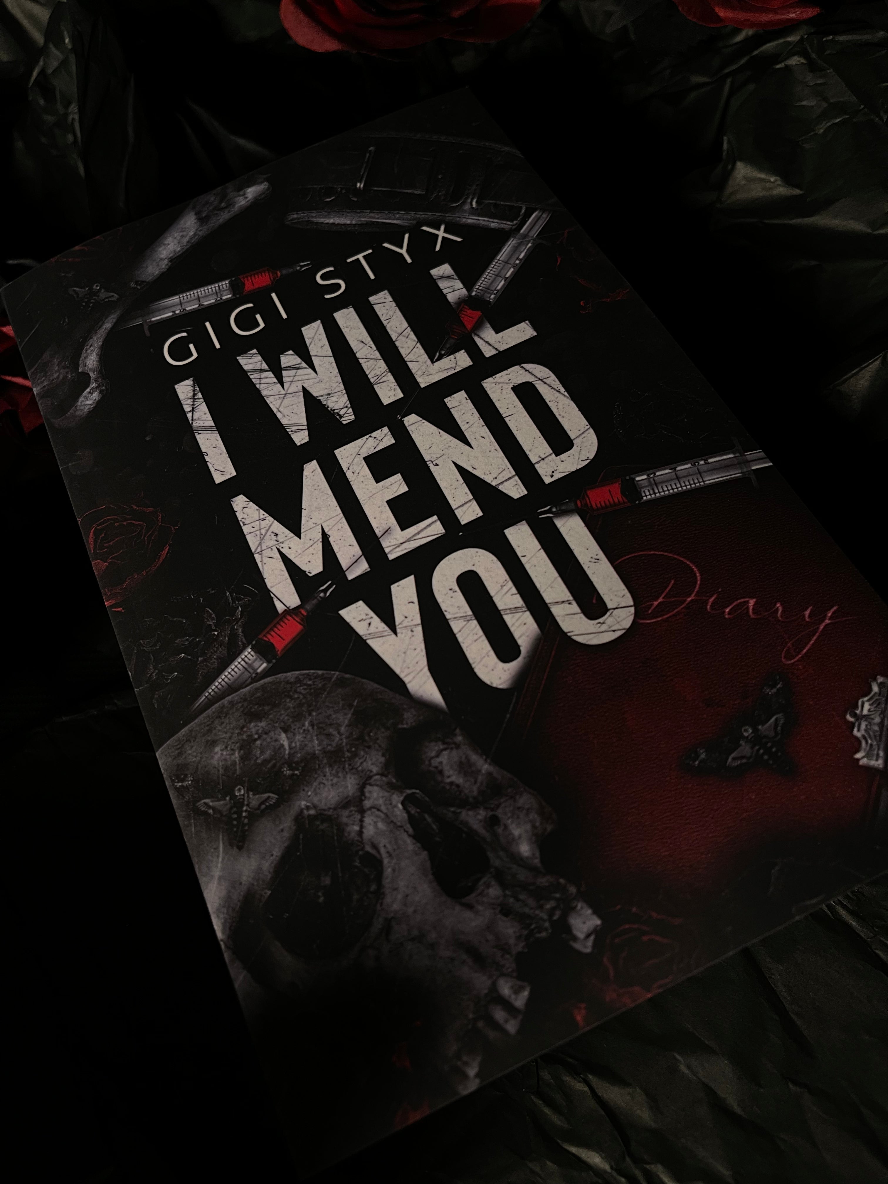 I Will Mend You (Pen Pal #2), by Gigi Styx (softback, english edition)