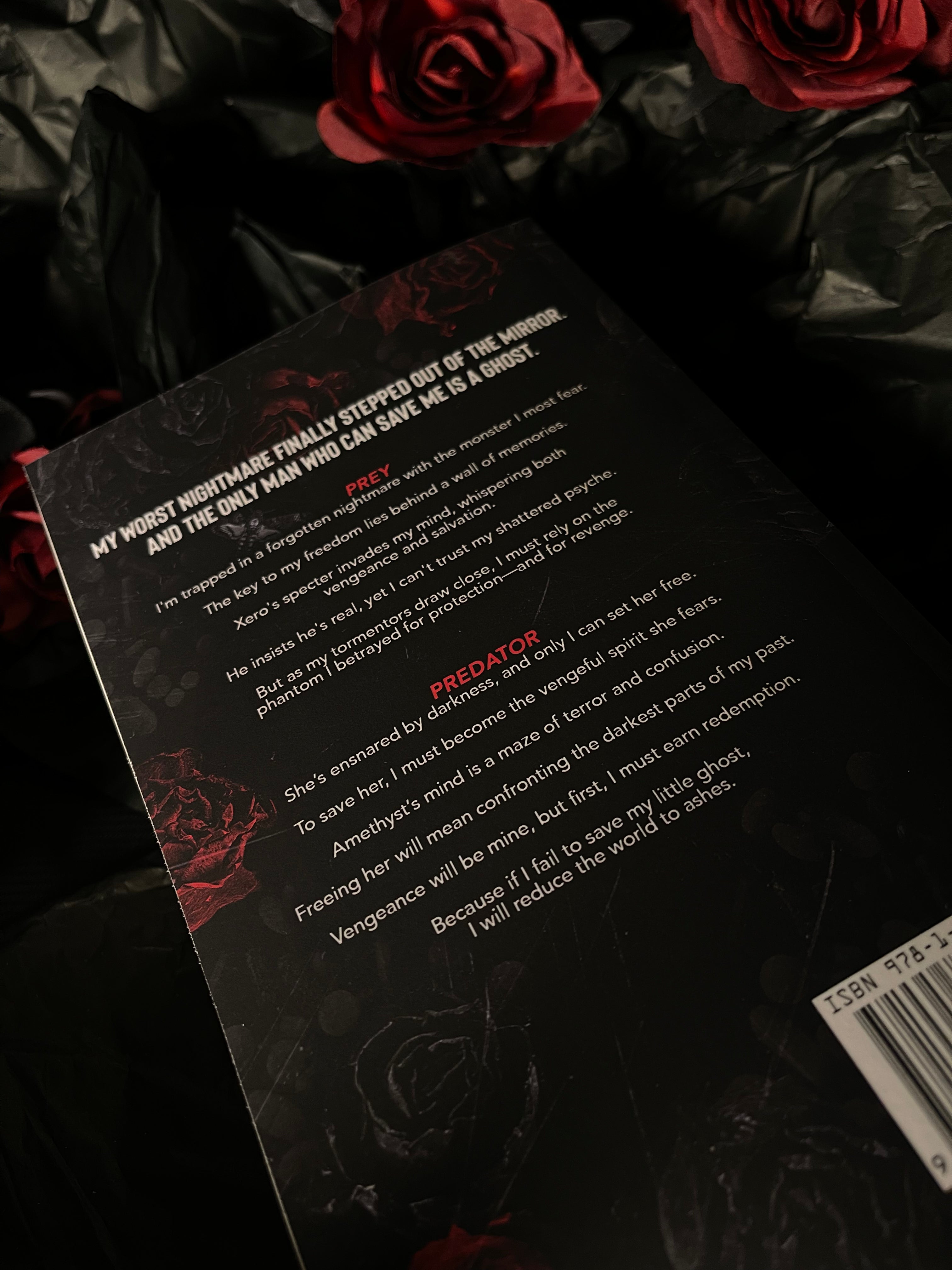 I Will Mend You (Pen Pal #2), by Gigi Styx (softback, english edition)