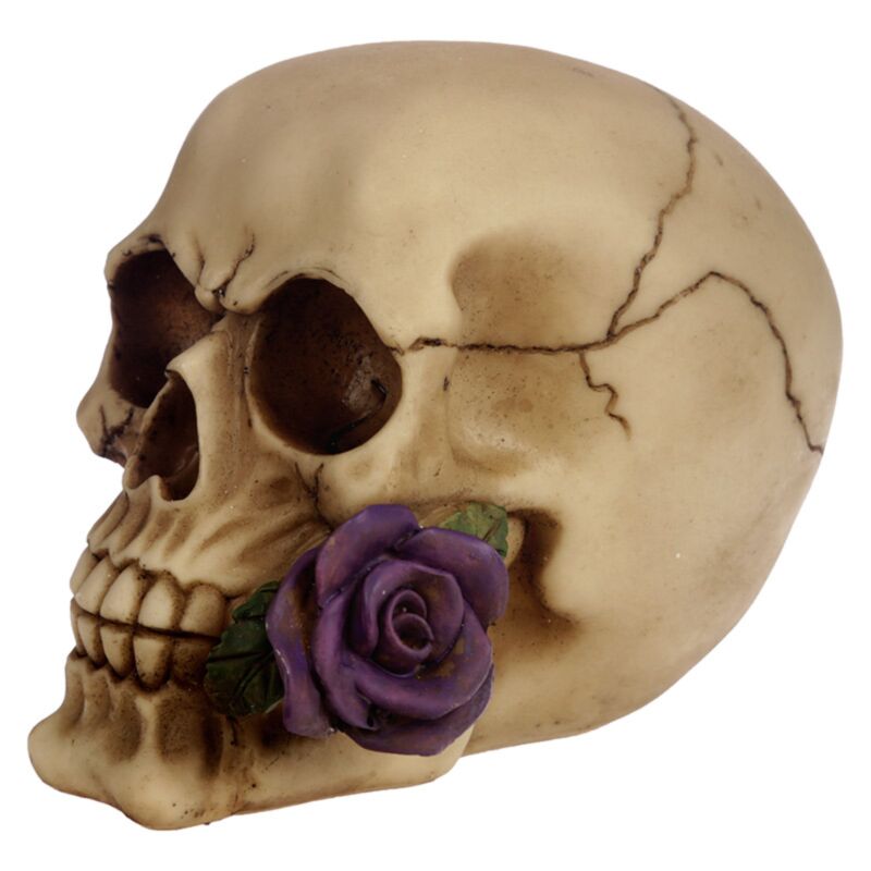 Skull & Bones With Single Purple Rose - Decoration - The Dark Rose Emporium