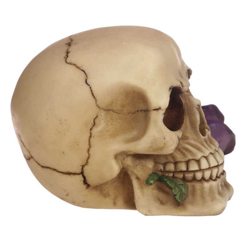 Skull & Bones With Single Purple Rose - Decoration - The Dark Rose Emporium