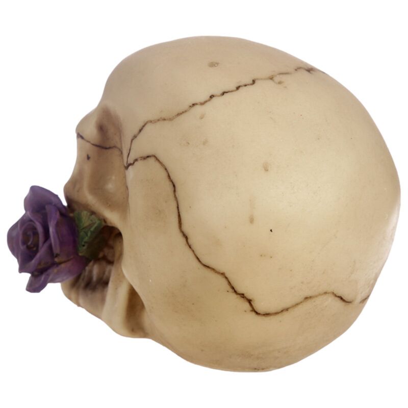 Skull & Bones With Single Purple Rose - Decoration - The Dark Rose Emporium