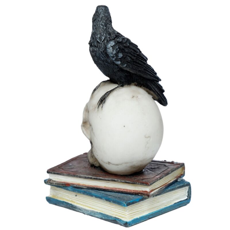 Crow On A Skull And Books - Decoration - The Dark Rose Emporium