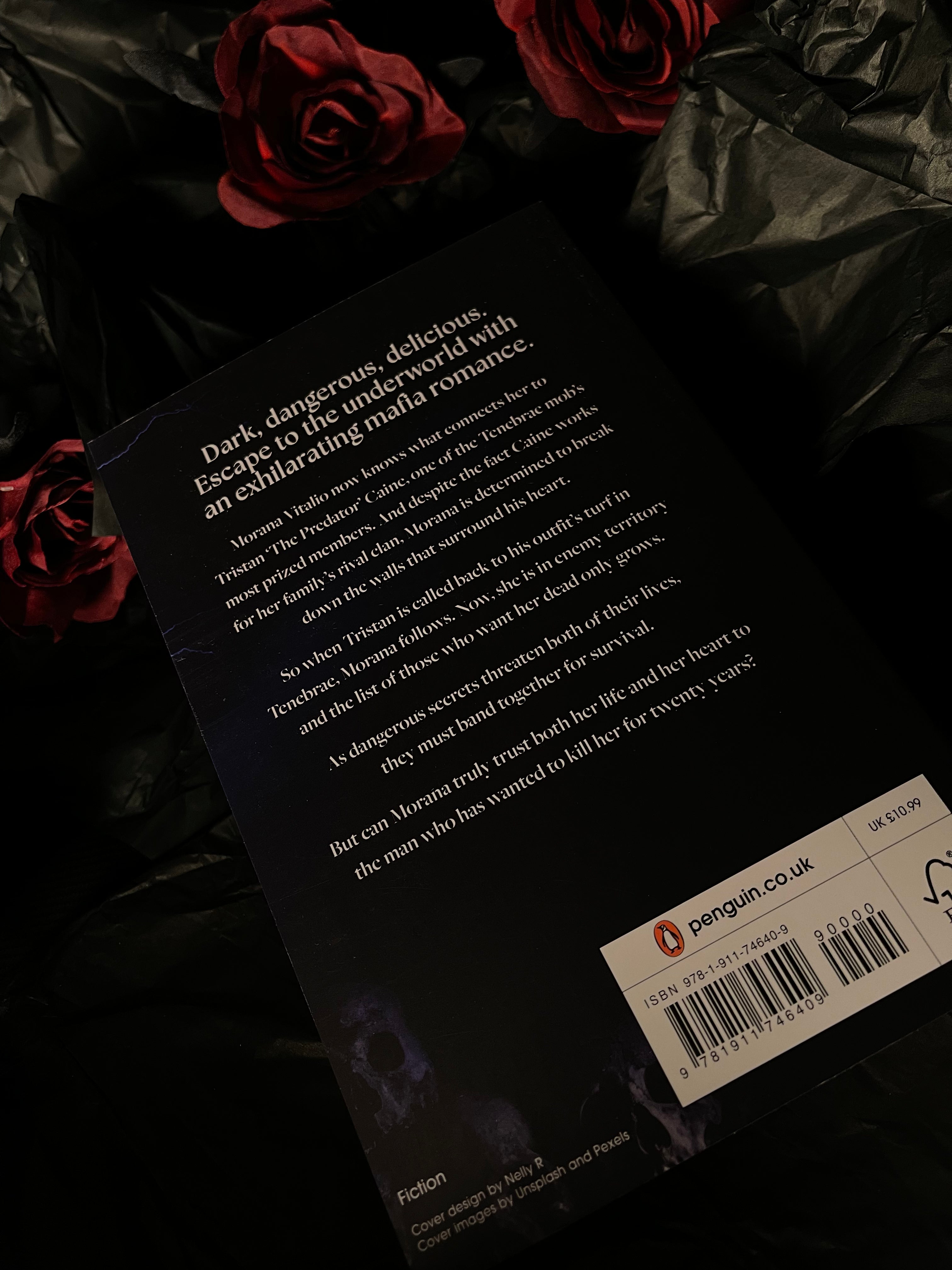 The Reaper (Dark Verse #2), by RuNyx (softback, english edition)