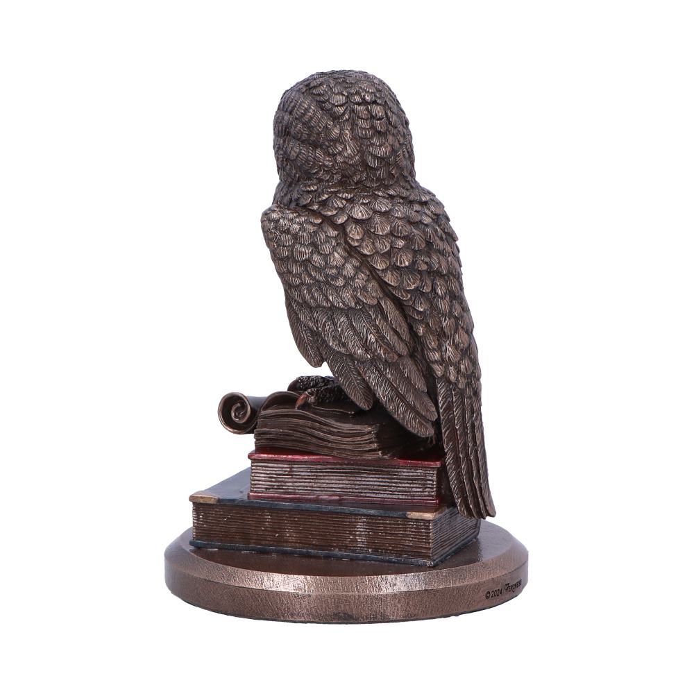 An Owl's Tale - Decoration - The Dark Rose Emporium