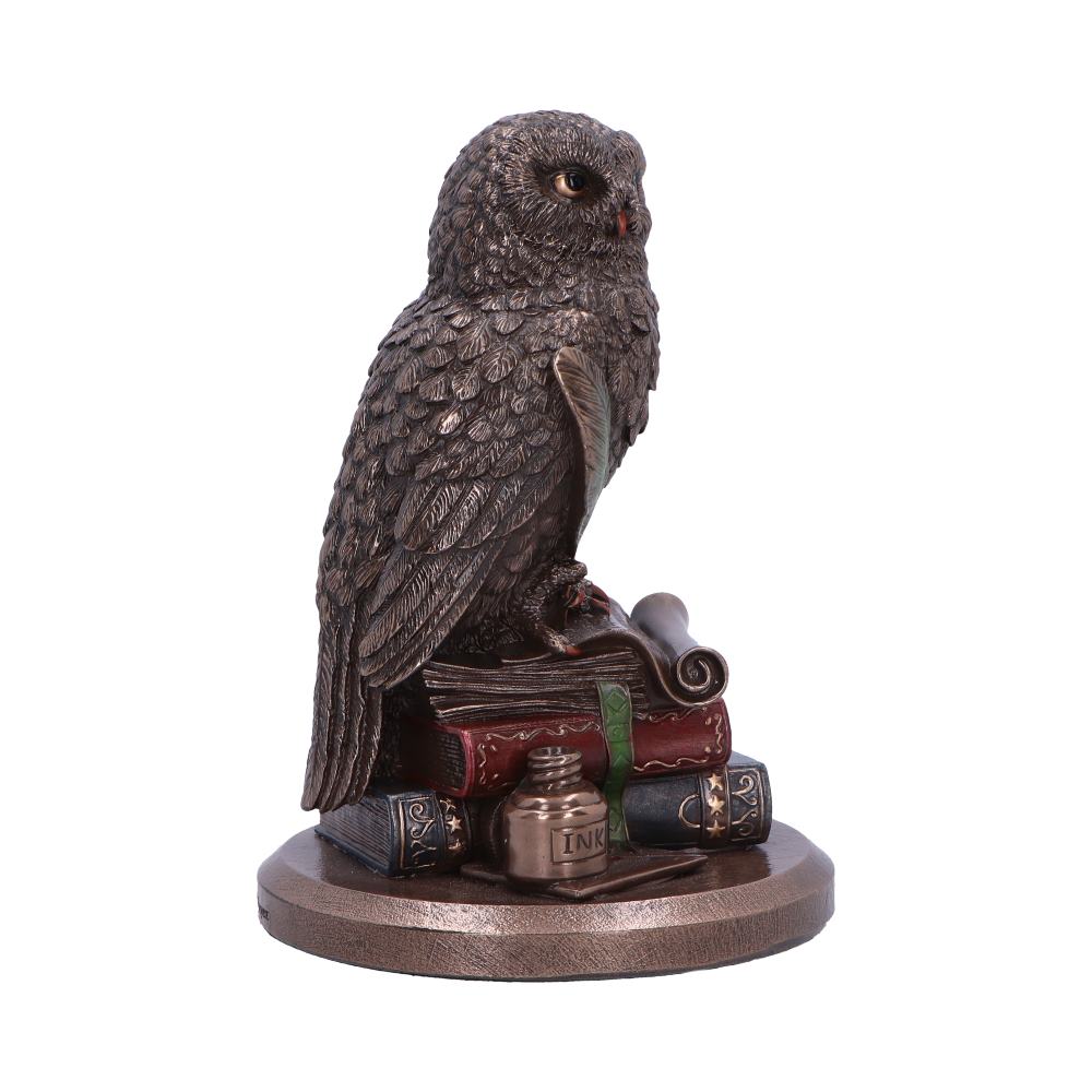 An Owl's Tale - Decoration - The Dark Rose Emporium
