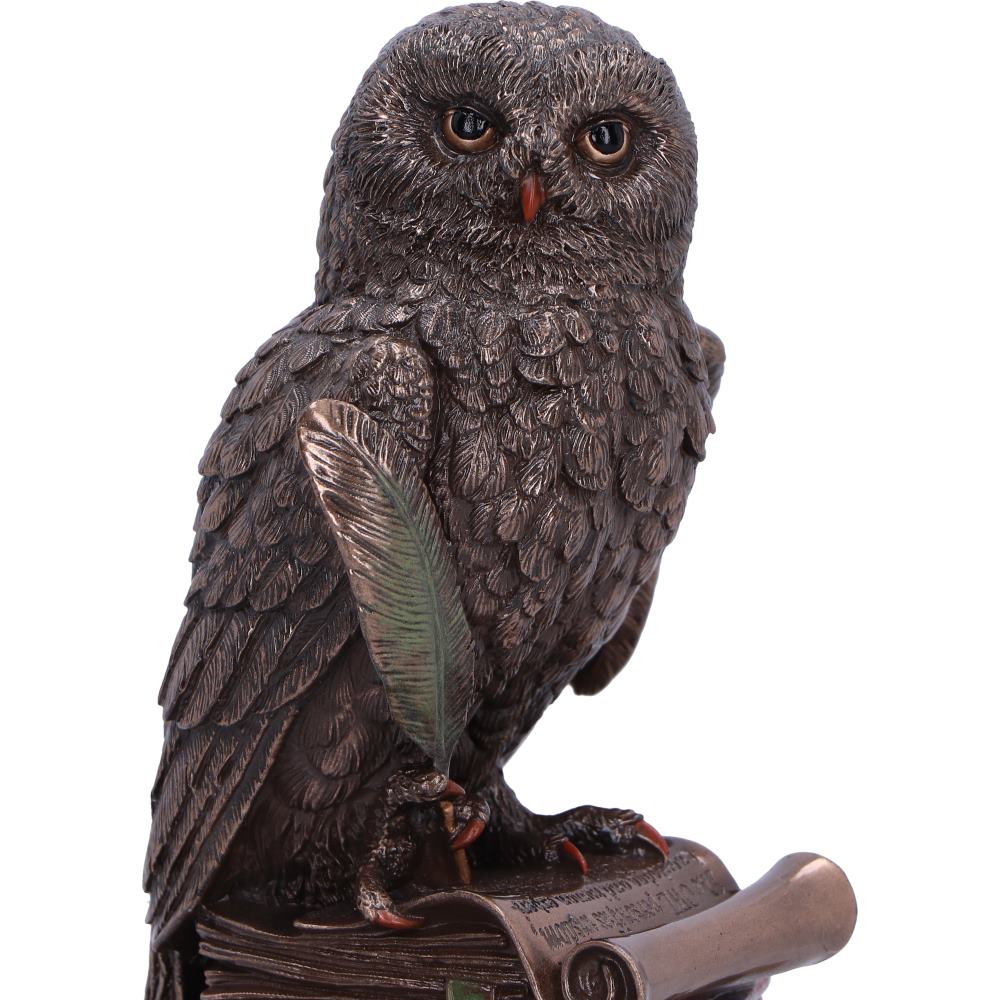 An Owl's Tale - Decoration - The Dark Rose Emporium