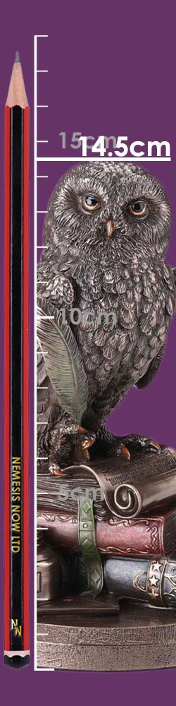 An Owl's Tale - Decoration - The Dark Rose Emporium