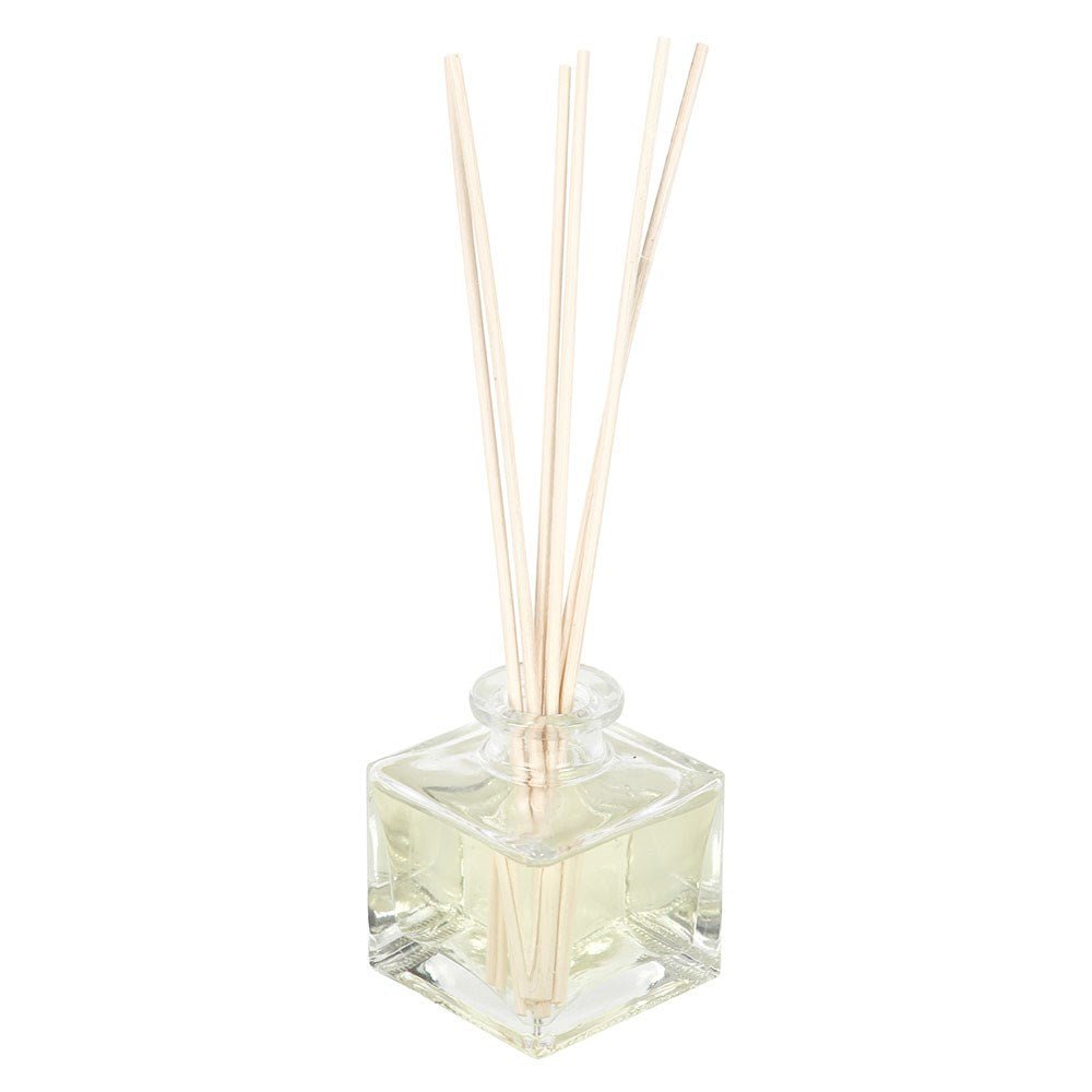 After Dark Go Away Evil Reed Diffuser - Reed Diffuser - The Dark Rose Emporium