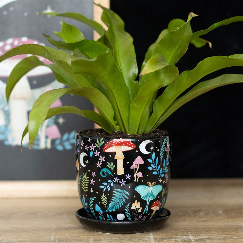 Dark Forest Plant Pot with Saucer - Plant Pot - The Dark Rose Emporium