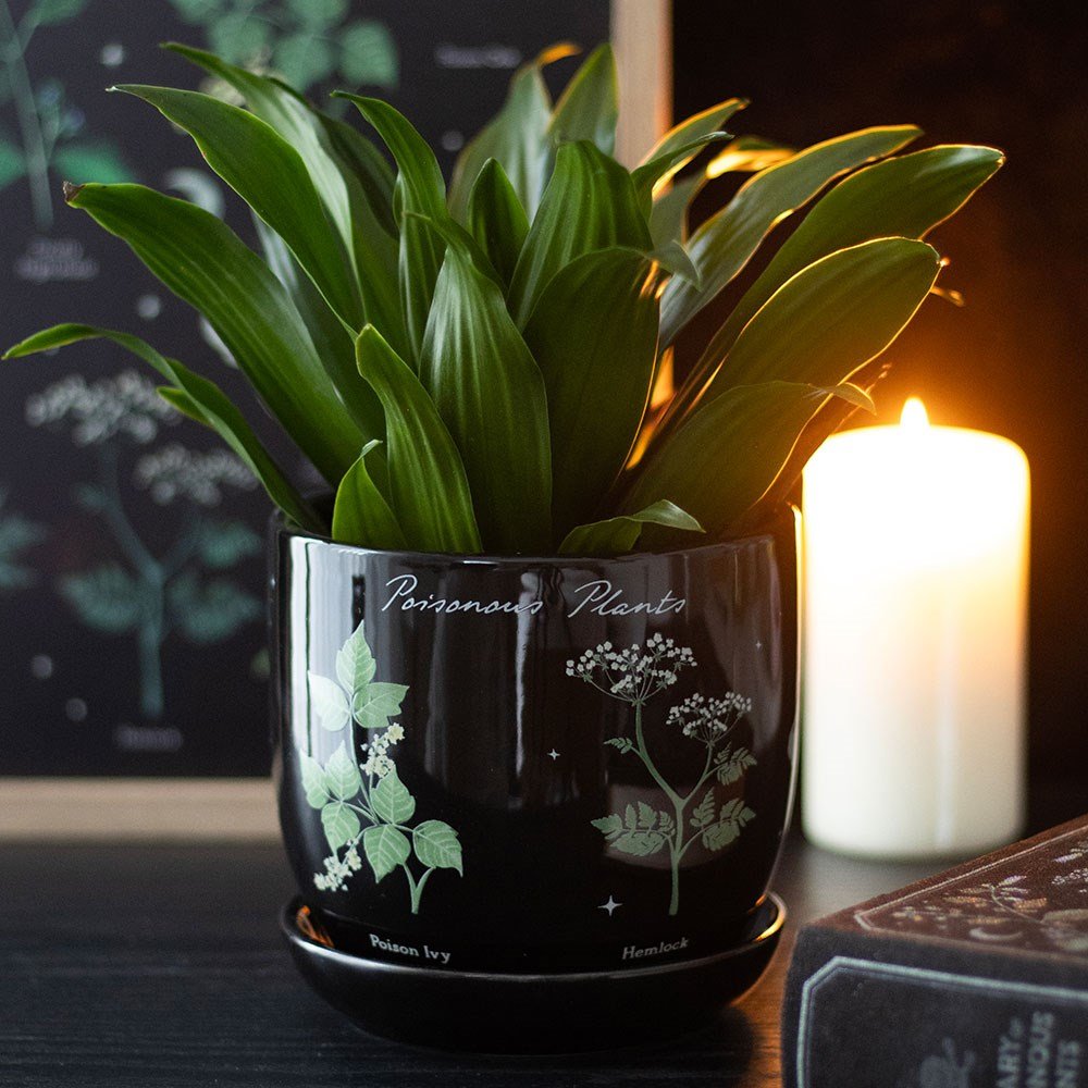 Venom & Vines Poisonous Plants Ceramic Plant Pot - Plant Pot - The Dark Rose Emporium